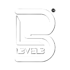 level 3