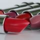 7-3.jpg (Demo)