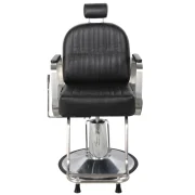Hair Salon Chair
