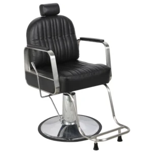 Hair Salon Chair