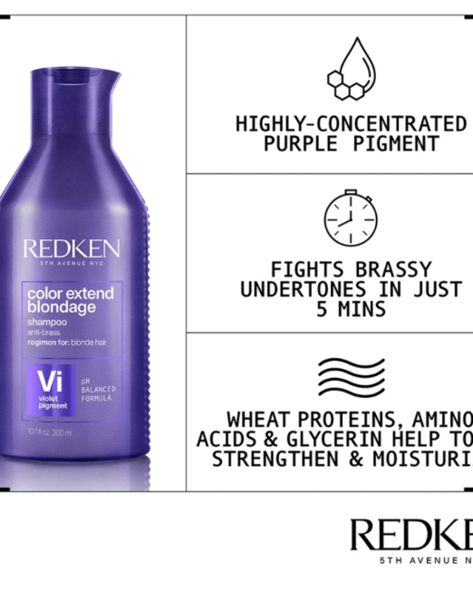 redken blondage 1